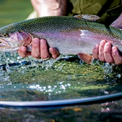 Frabill Floating Wade Net