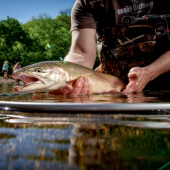 Frabill Floating Wade Net