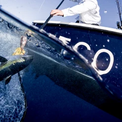 Frabill Clear Rubber Conservation Net - Collapsible