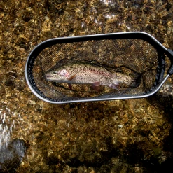 Frabill Floating Trout Net - Square Nets